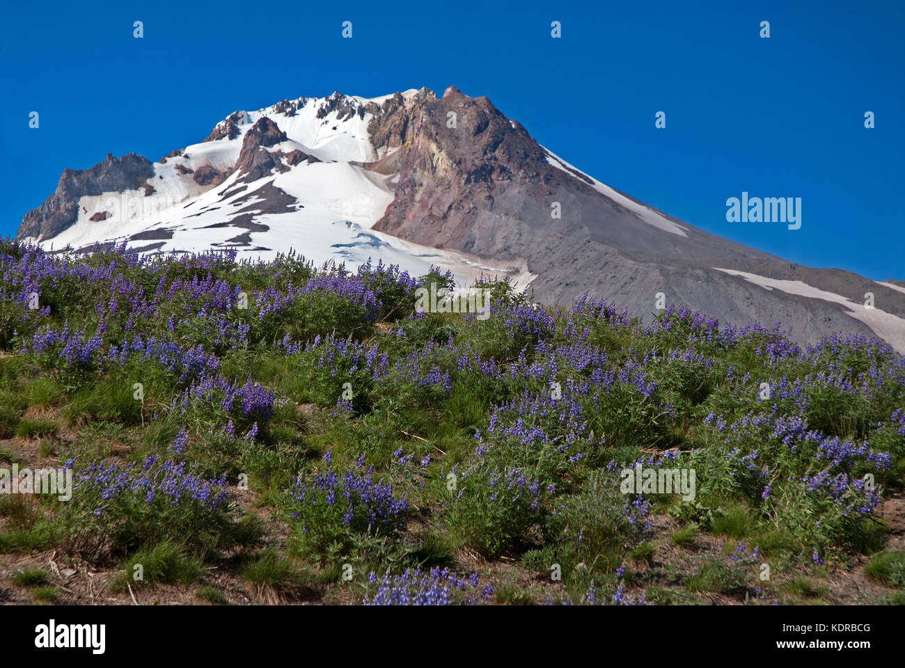 Mount Hood Oregon, USA Stock Photo