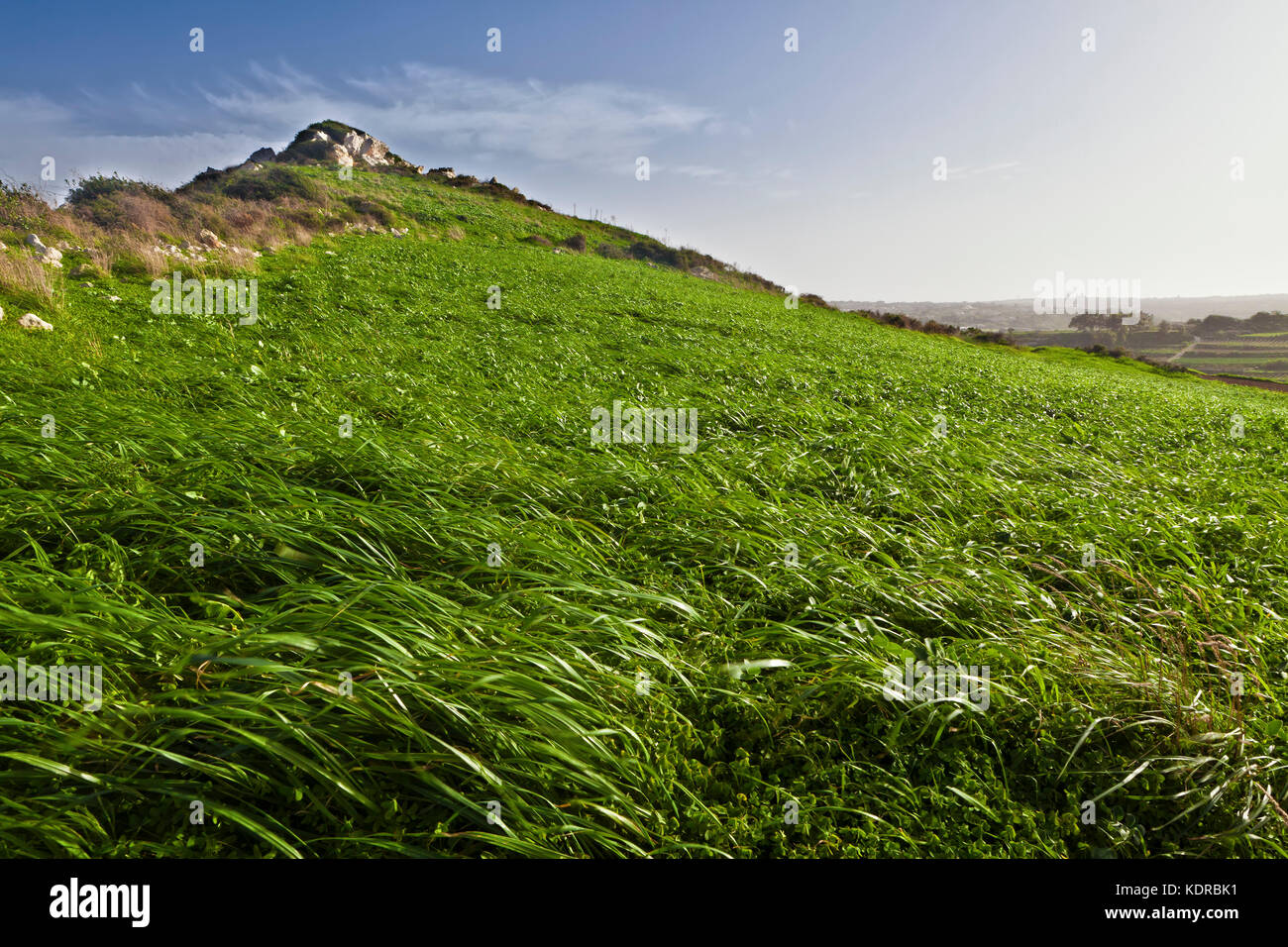 Grassy hillock hi-res stock photography and images - Alamy