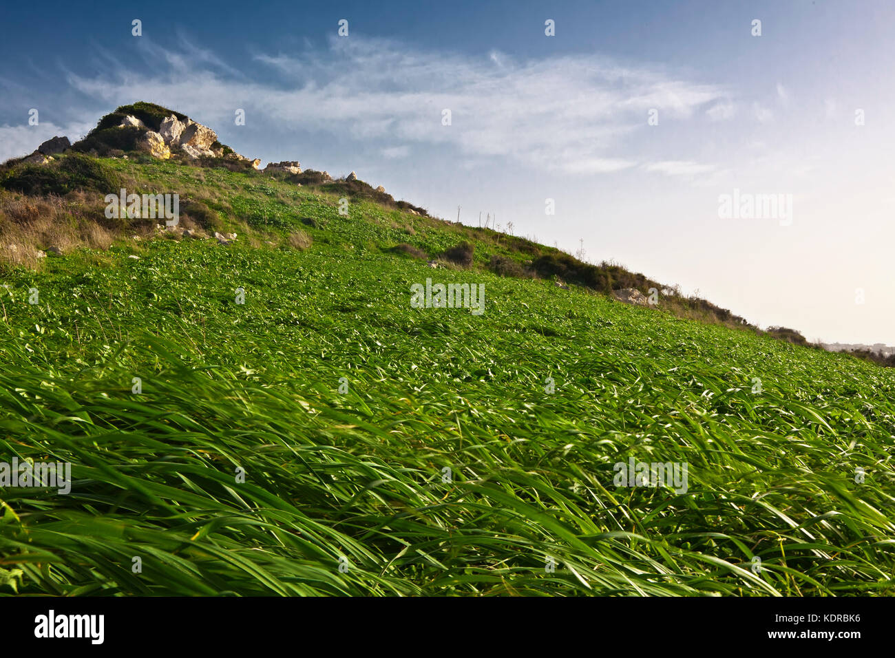 2,984 Green Hillock Stock Photos - Free & Royalty-Free Stock