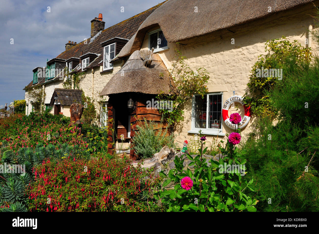 Fishermens Thatched cottages with bright flowers in front gardens at Porlock Weir, Somerset. UK. Stock Photo