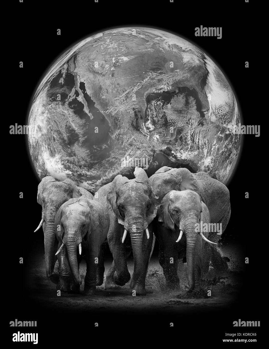 Elephants on the background of the Earth. Elements of this image furnished by NASA Stock Photo