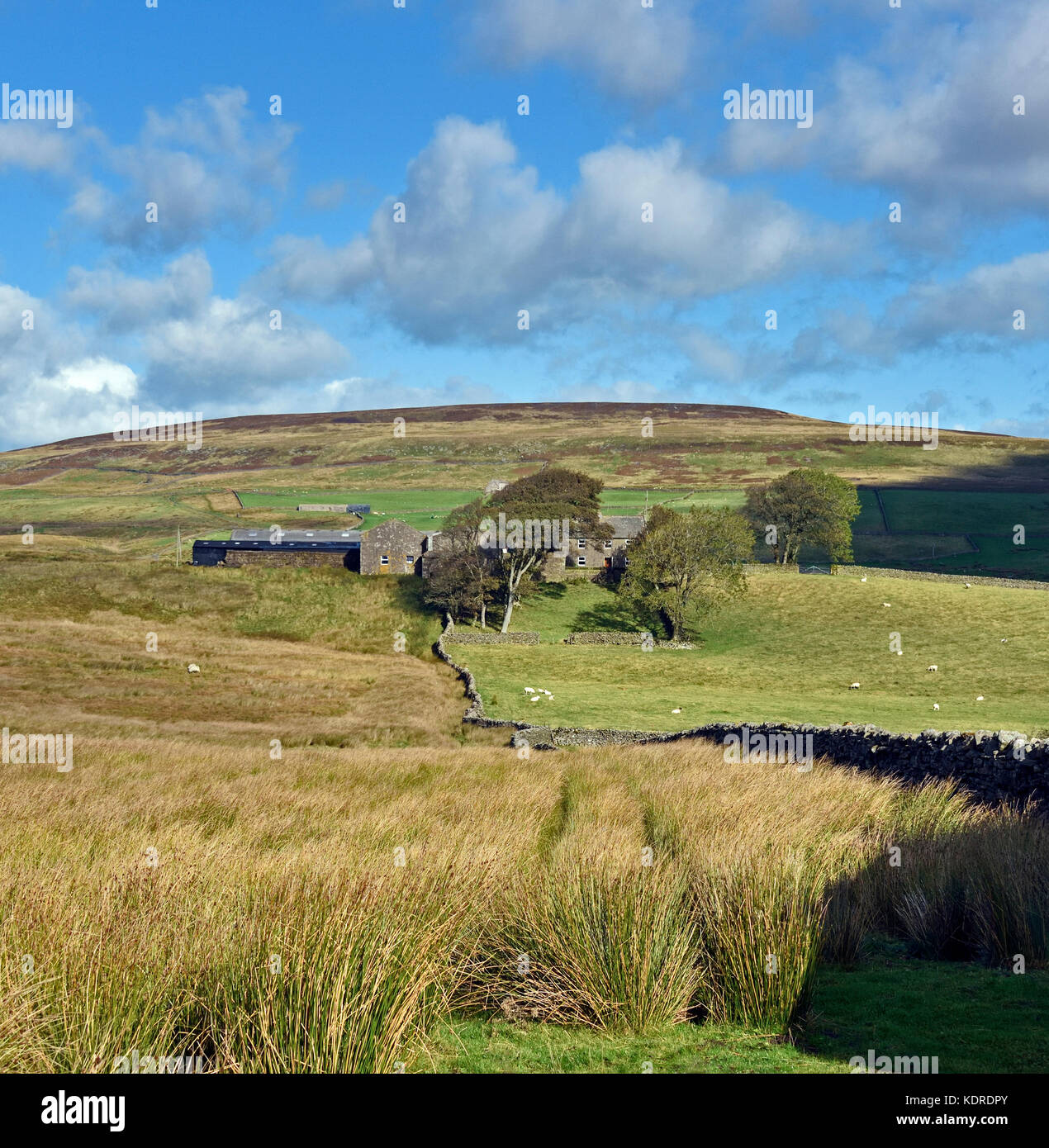 Hill farm hi-res stock photography and images - Alamy