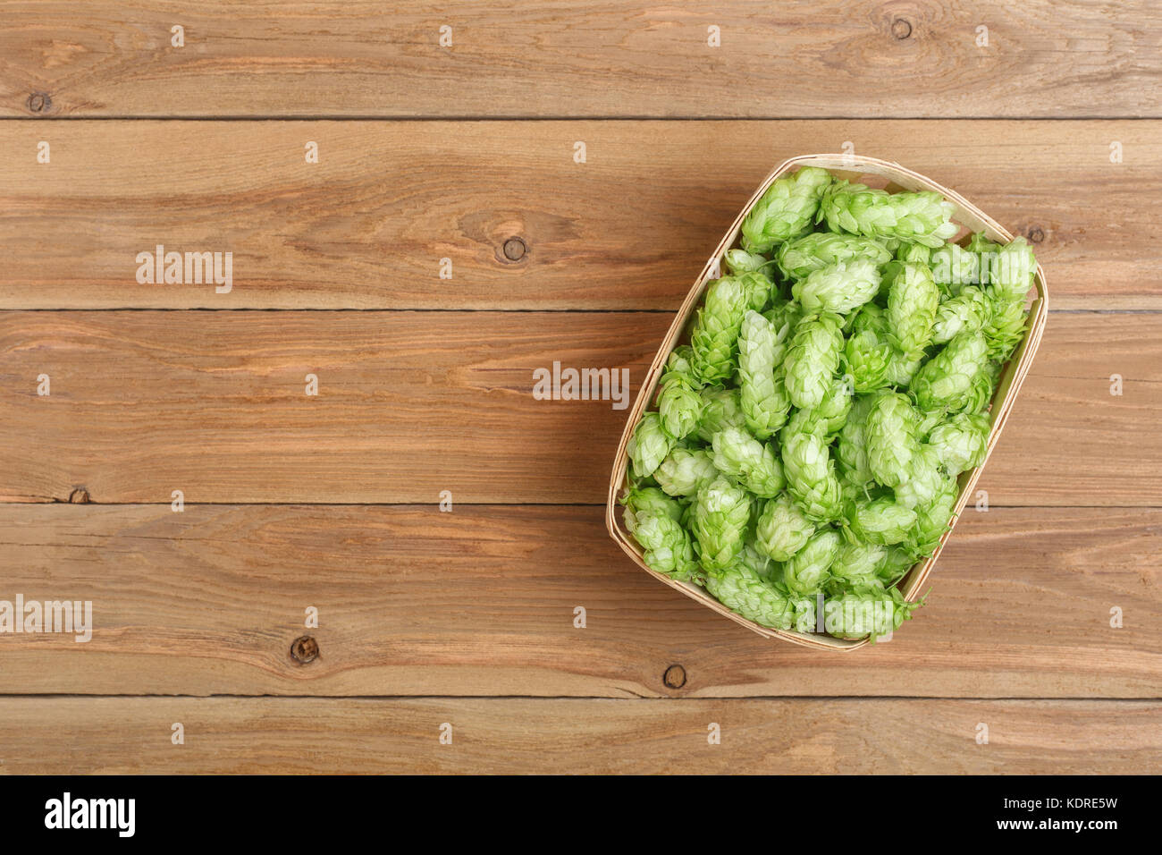 fresh green hops top view Stock Photo
