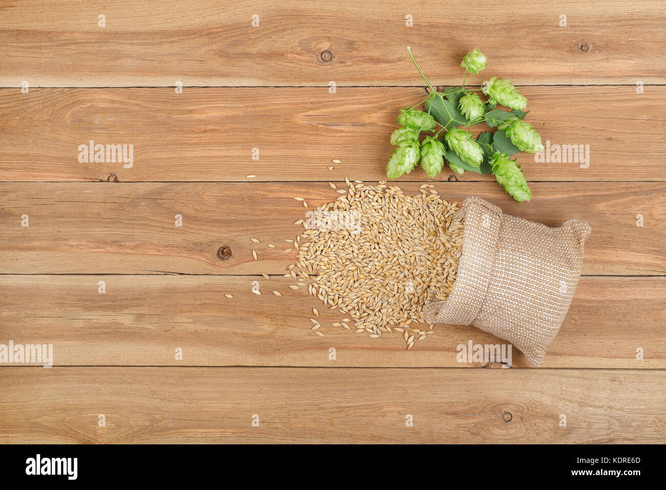 hops and grains of barley top view Stock Photo Alamy
