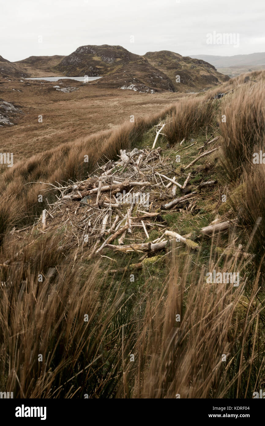 Windswept Donegal landscape with sticks, Donegal, Ireland, Europe Stock Photo