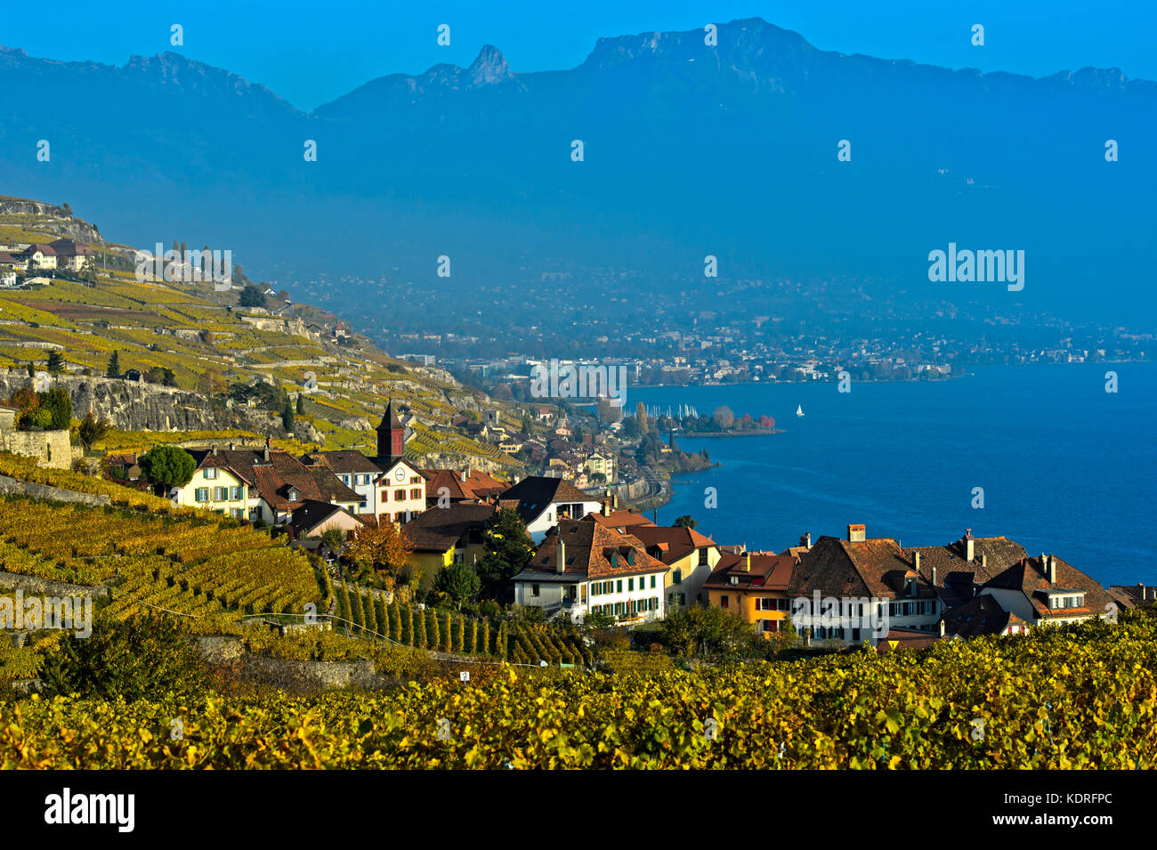 Winegrowing village of Rivaz in the Lavaux vineyards, Vaud, Switzerland Stock Photo