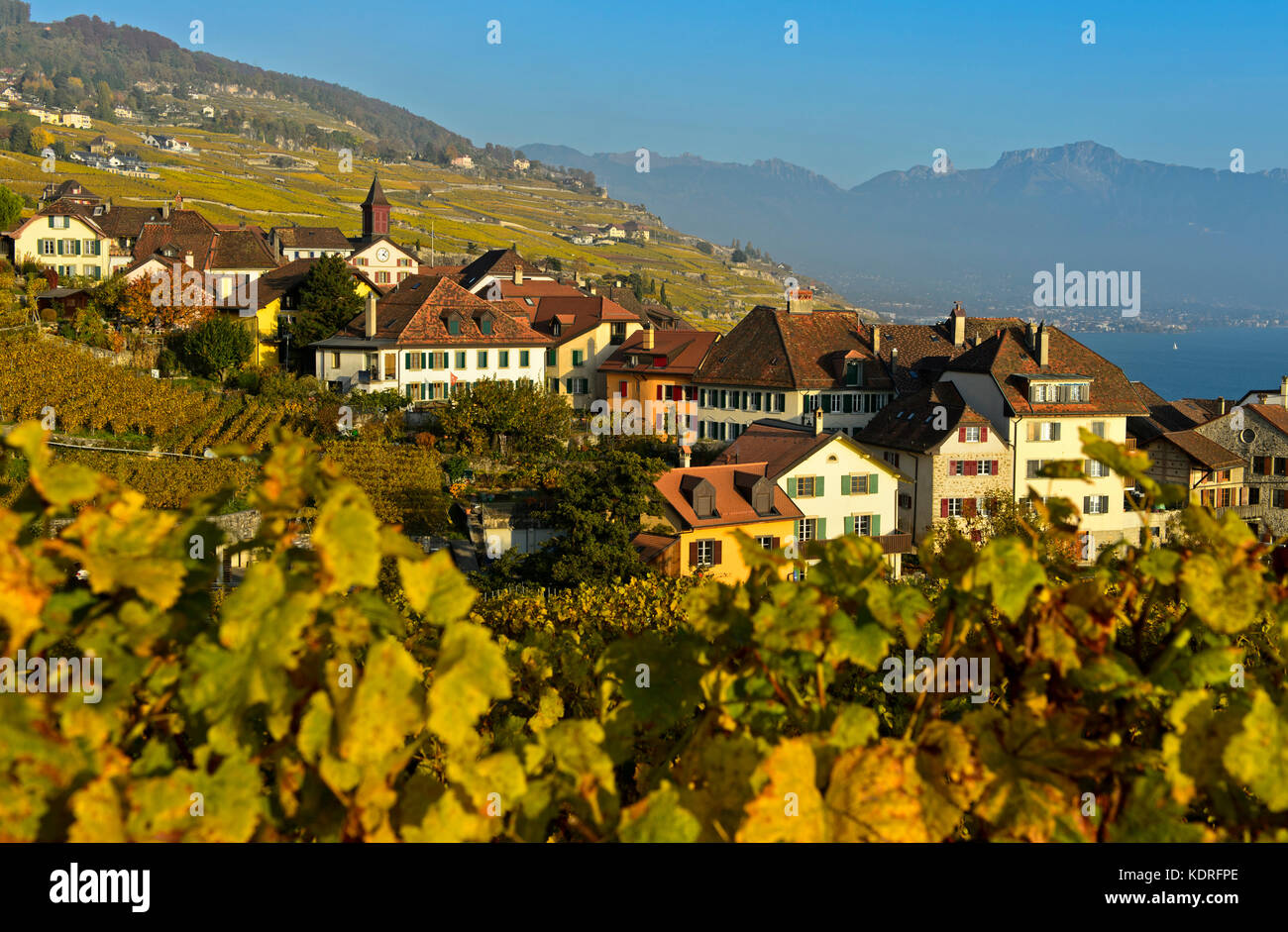 Wine-growing village of Rivaz in the Lavaux vineyards, Vaud, Switzerland Stock Photo