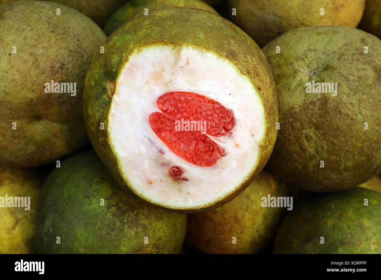 Jambura hires stock photography and images Alamy