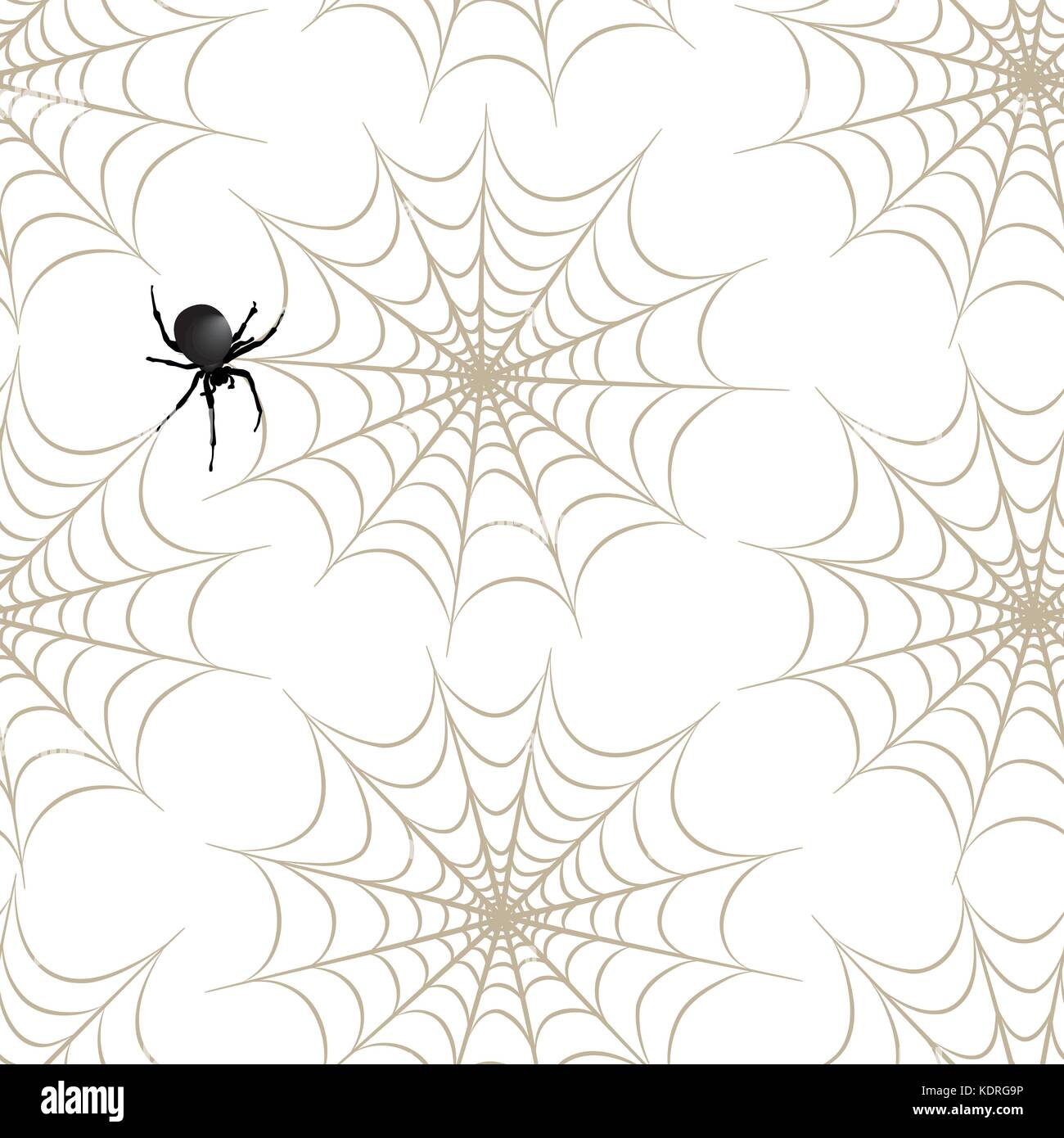 Halloween seamless pattern. Holiday background with spider, web Stock ...