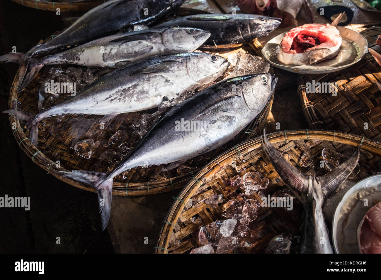 Fresh fish displayed on bamboo trays in Dong Bar Market, Hue Stock Photo