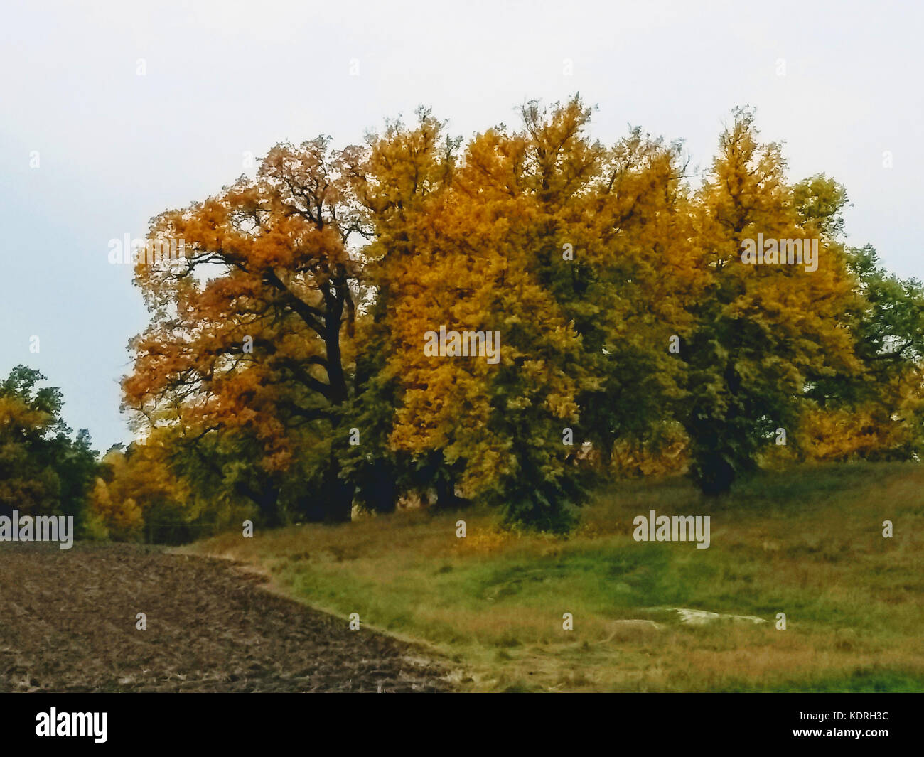 Autumn in Drottingholm and Lovö in Sweden Stock Photo