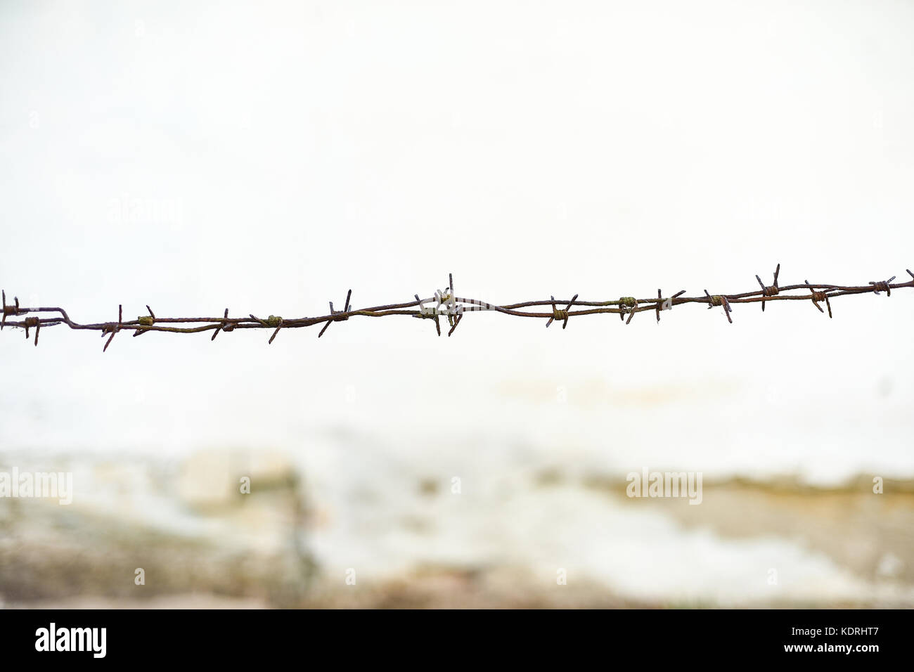 Rusty barbed wire, old wall whitewashed on lime on the background, space for text Stock Photo