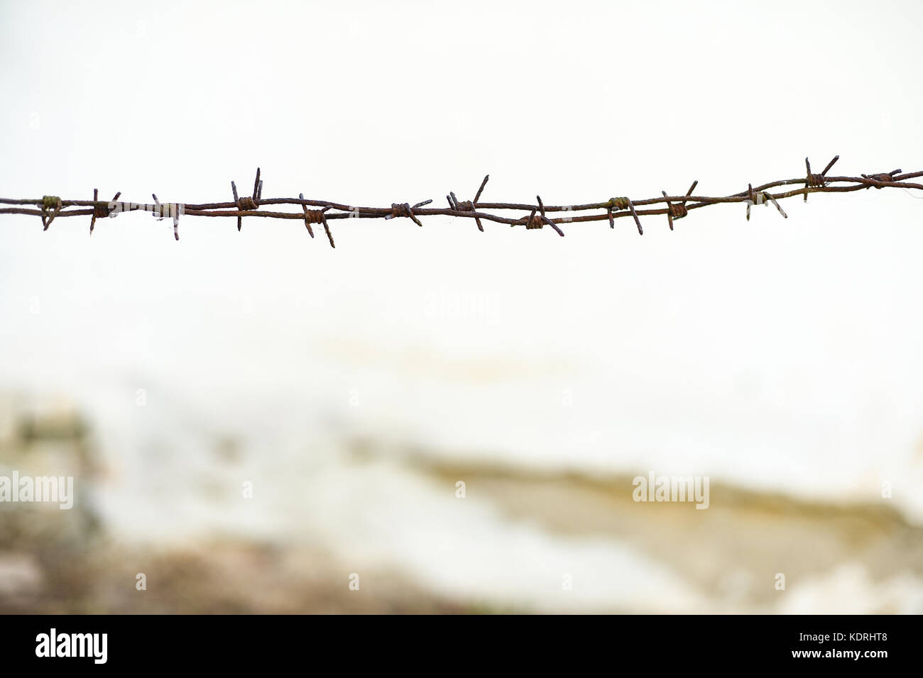 Rusty barbed wire, old wall whitewashed on lime on the background, space for text Stock Photo