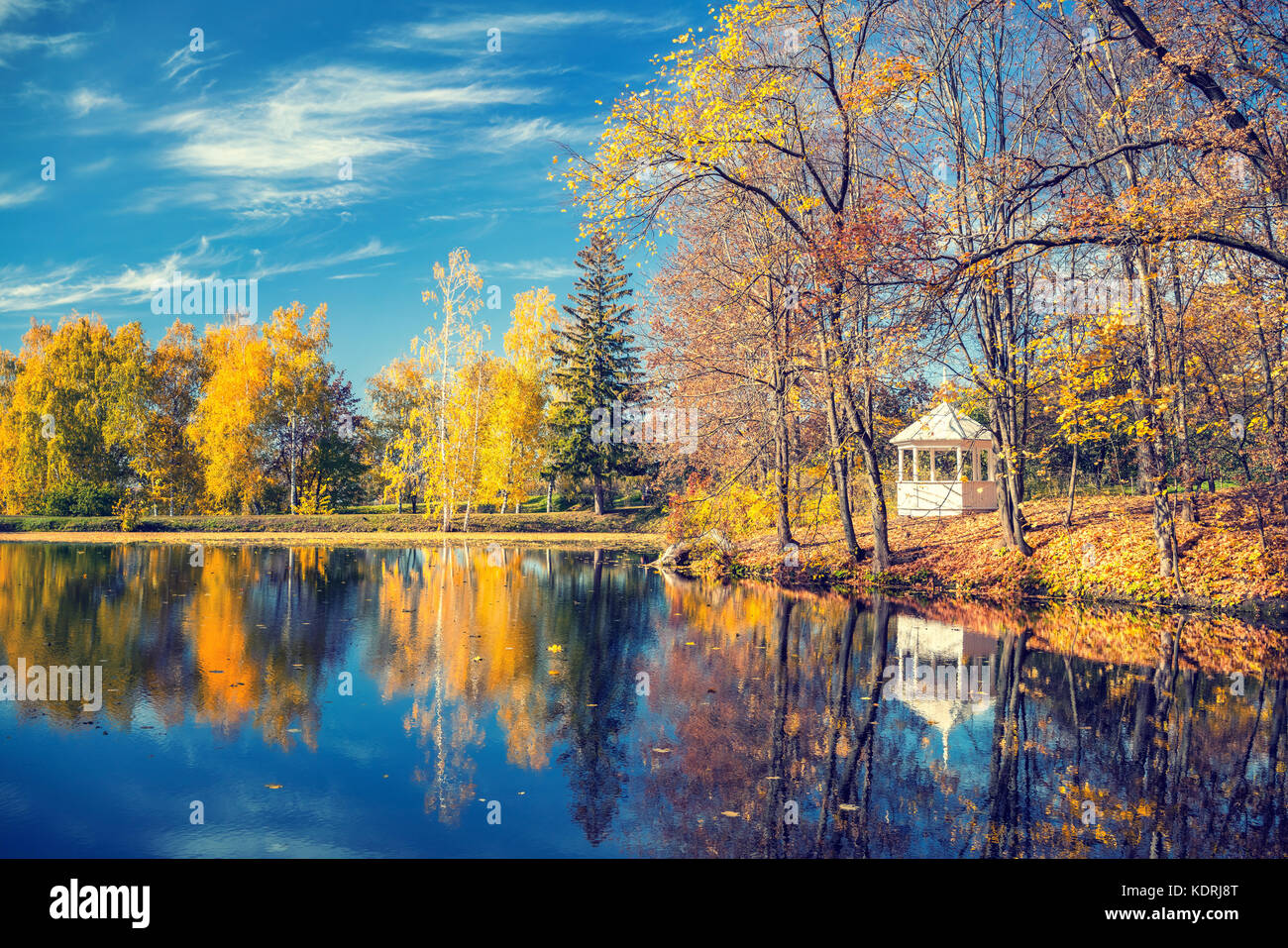 Sunny autumn in the park over lake Stock Photo - Alamy