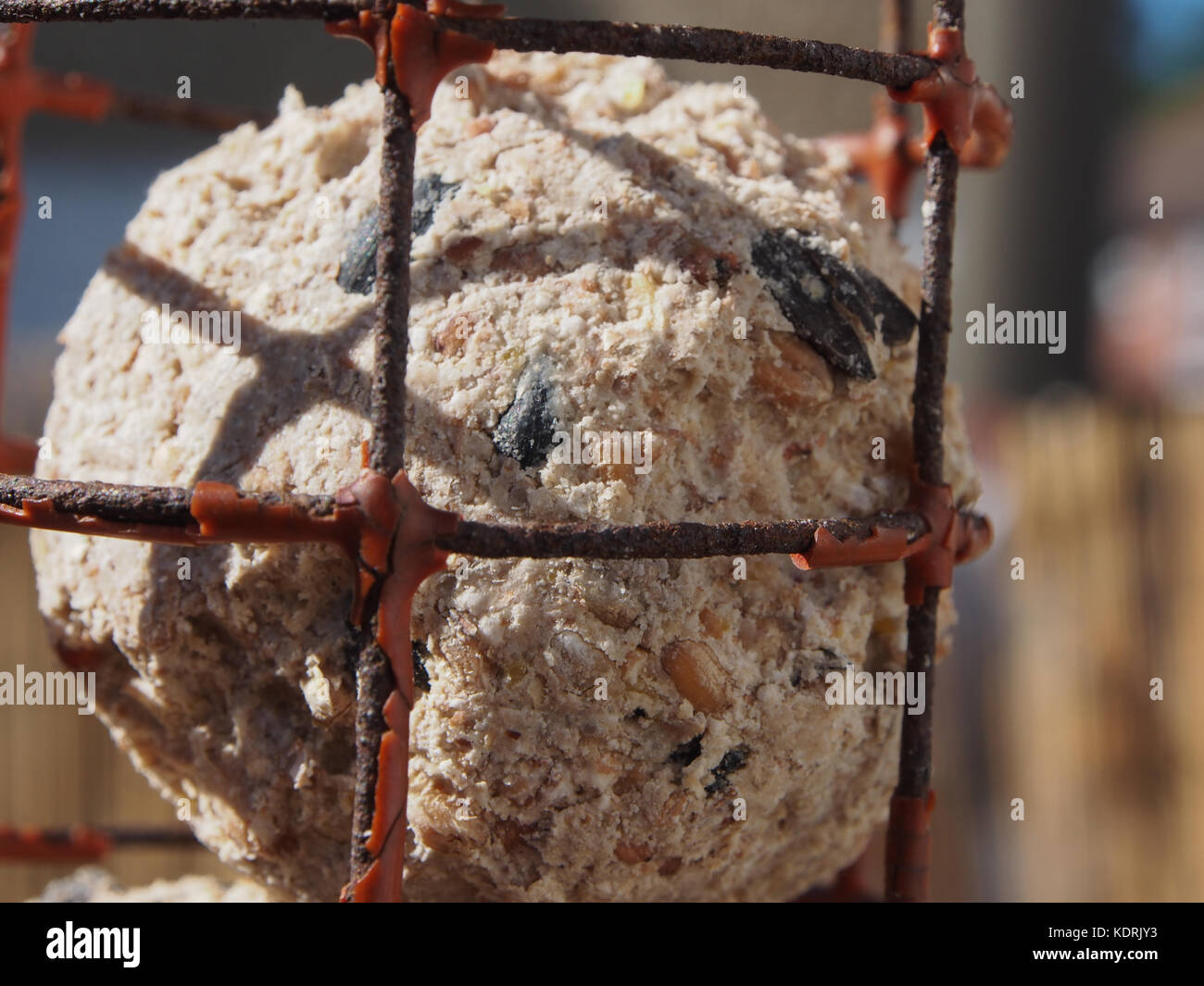 fat balls in a bird feeder Stock Photo Alamy
