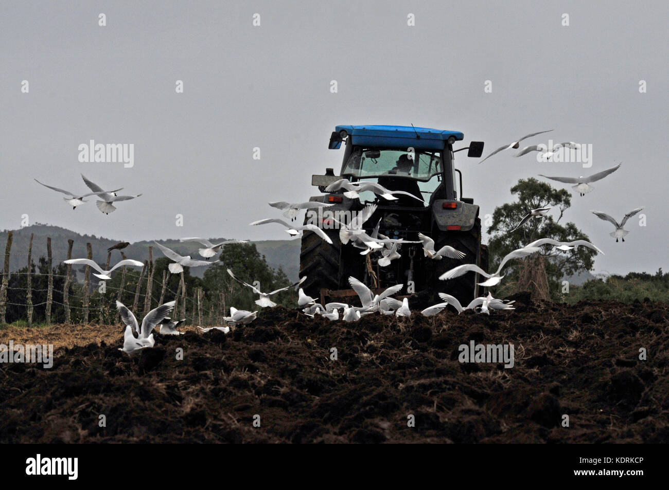 tractor and plowed land Stock Photo - Alamy