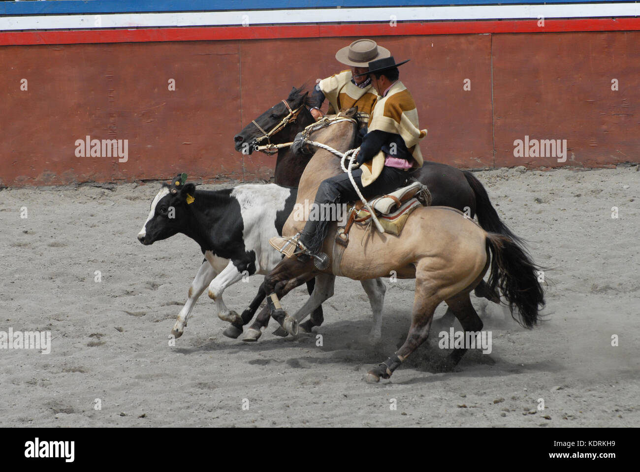 Huaso hi-res stock photography and images - Alamy