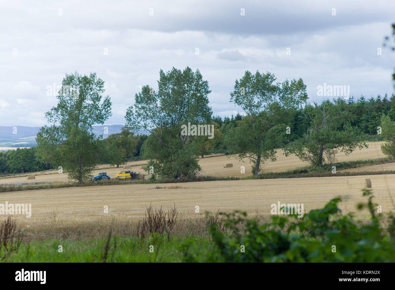 Fields and Woodland north of Scone under threat of housing development October 2017 Stock Photo