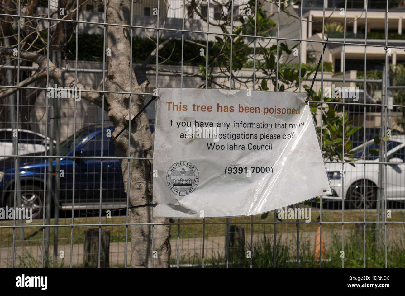 Poisoned tree notice in Rushcutters Bay, Woollahra Council, Sydney Stock Photo
