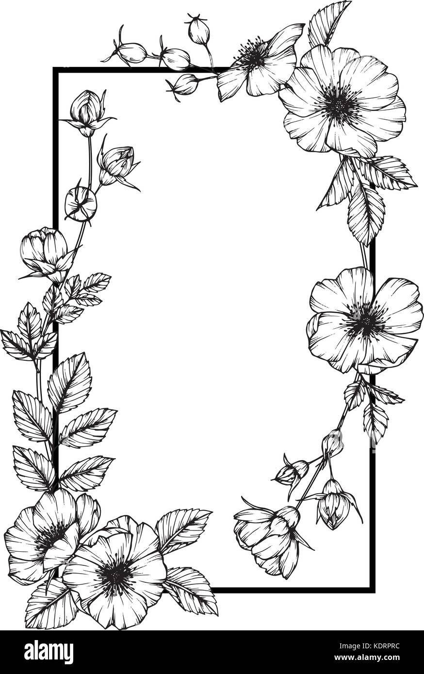 Vector De Flores En Blanco Y Negro