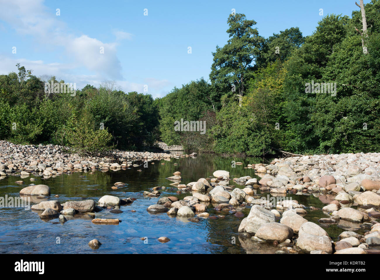 The  River Enrick in  Urquhart Bay Woods near Drumnadrochit, Scotland.  Summer. A woodland trust site Stock Photo