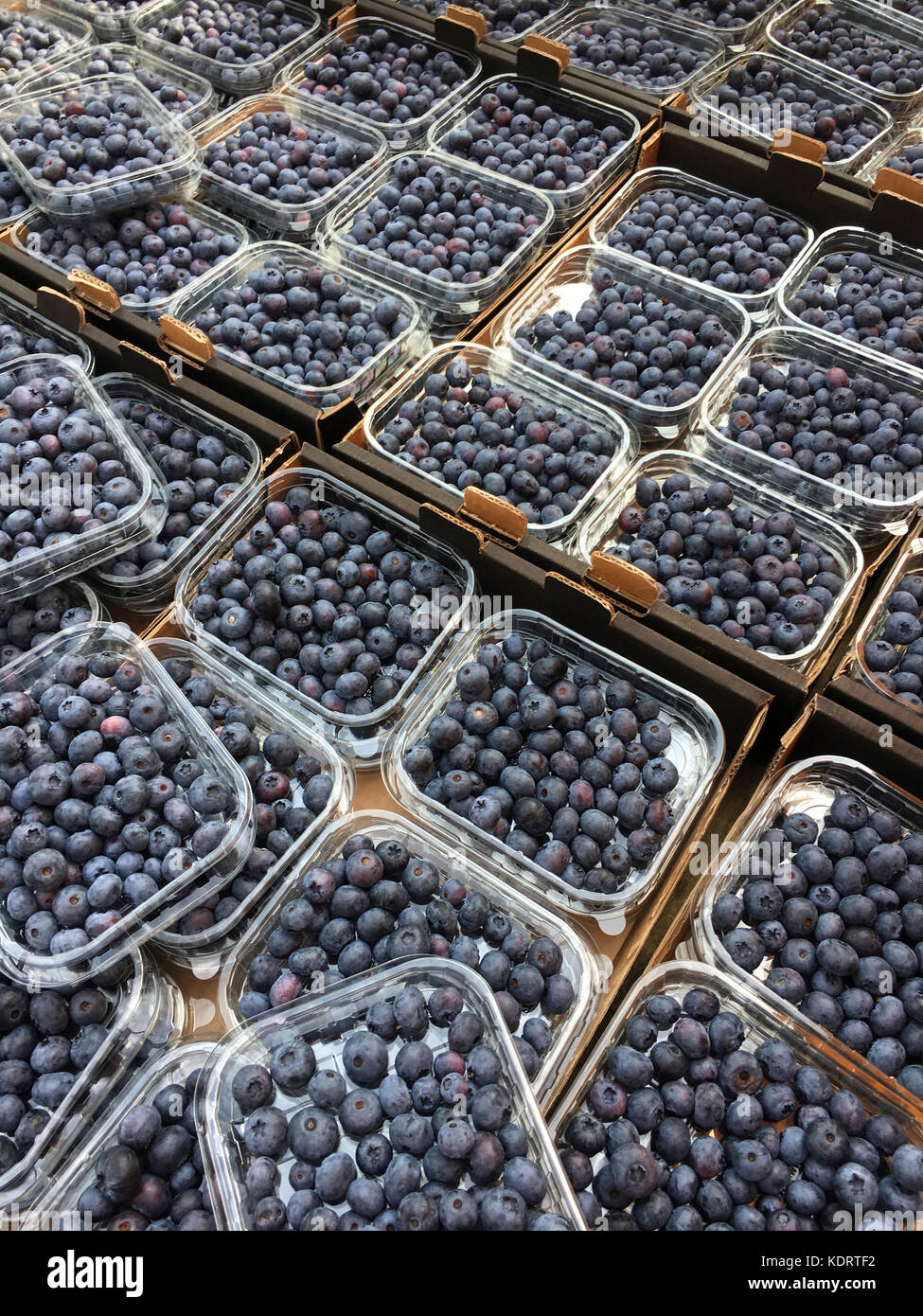 Blueberries - a small sweet blue-black edible berry Stock Photo - Alamy