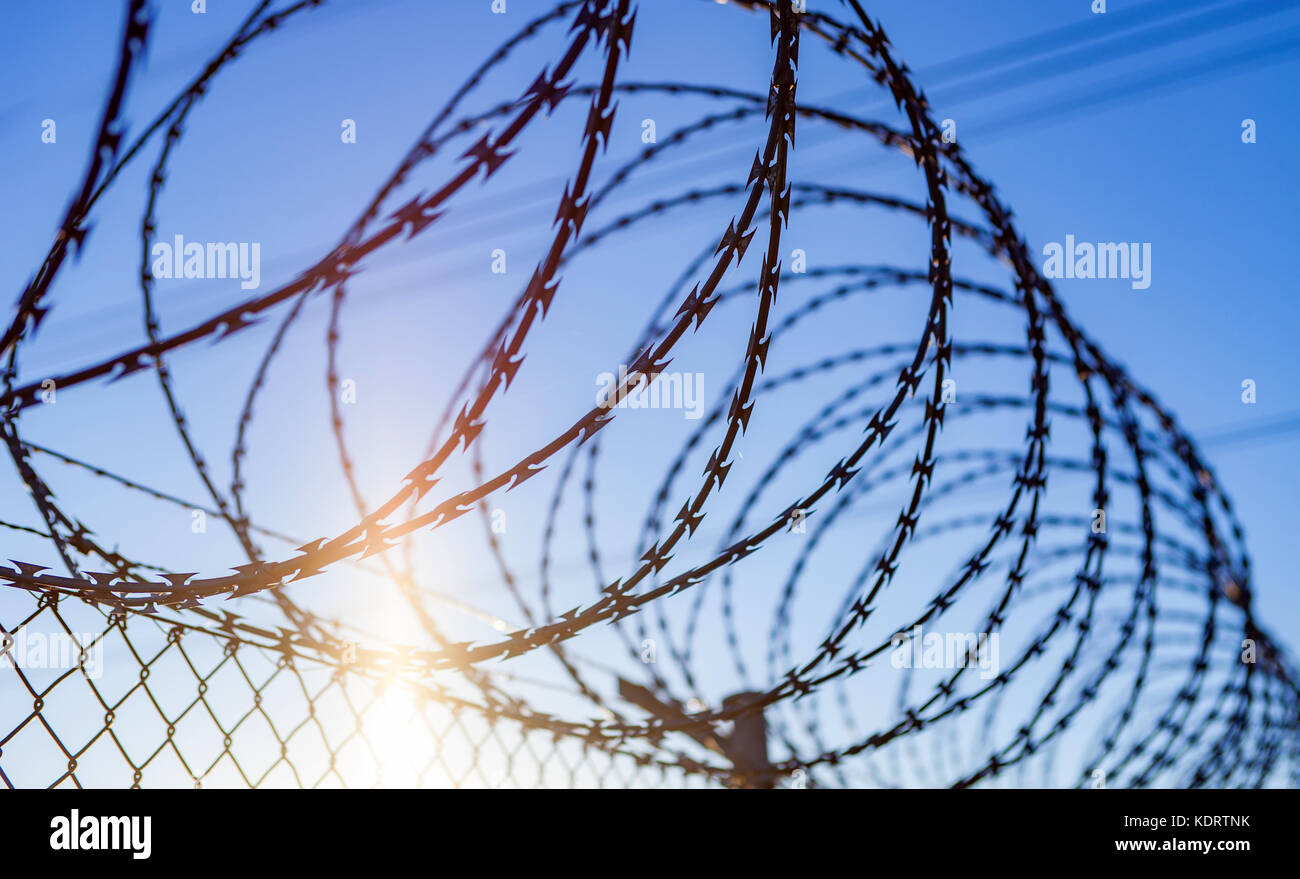 Fence with a barbed wire under a blue sky Stock Photo - Alamy