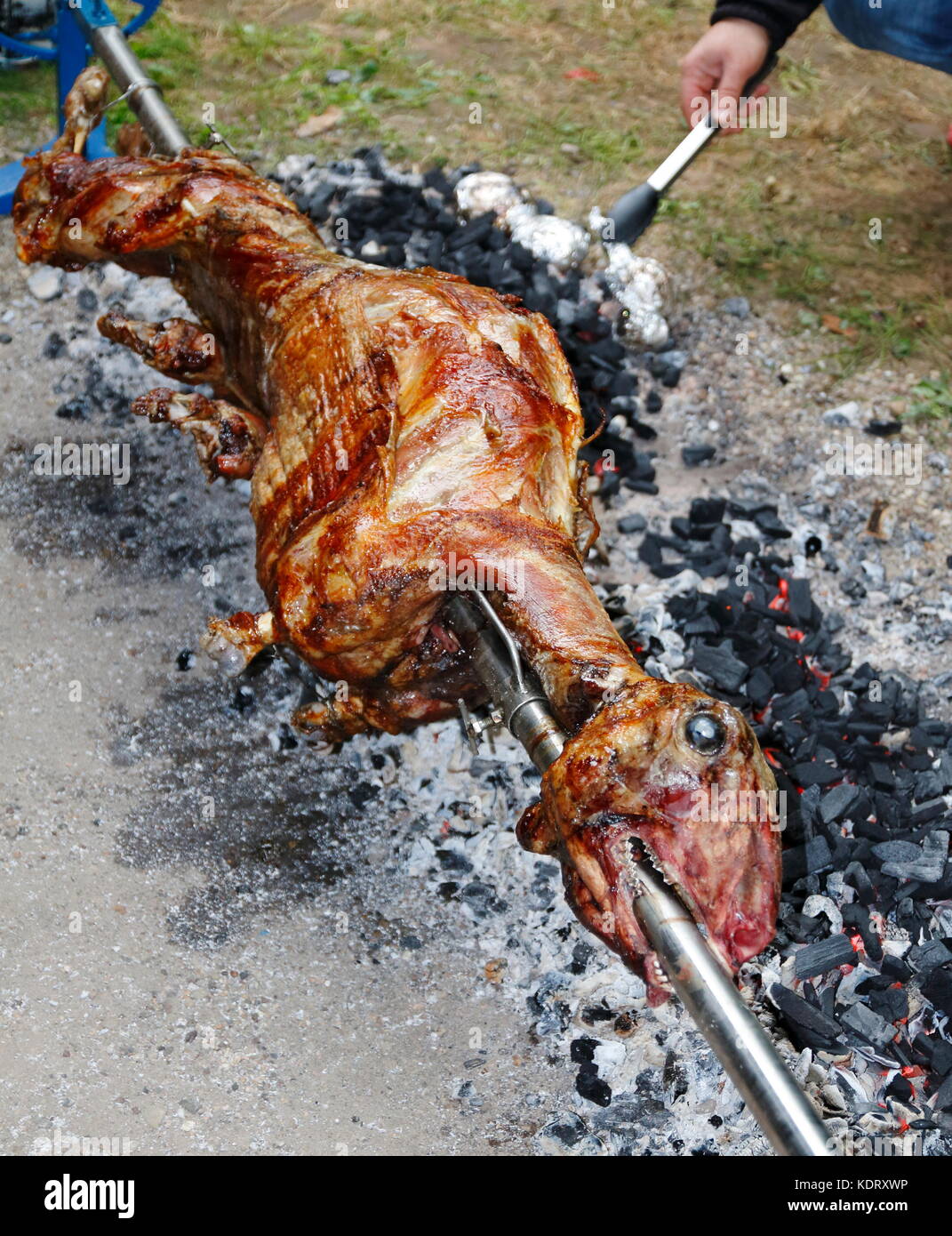 Lamm High Resolution Stock Photography and Images - Alamy