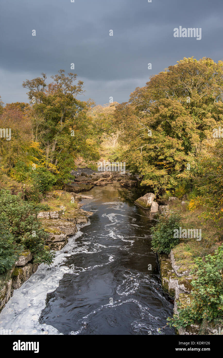 Teesdale landscape, The Meeting of the Waters - the confuence of the rivers Greta and Tees at Rokeby, Barnard Castle, UK in autumn sun with copy space Stock Photo