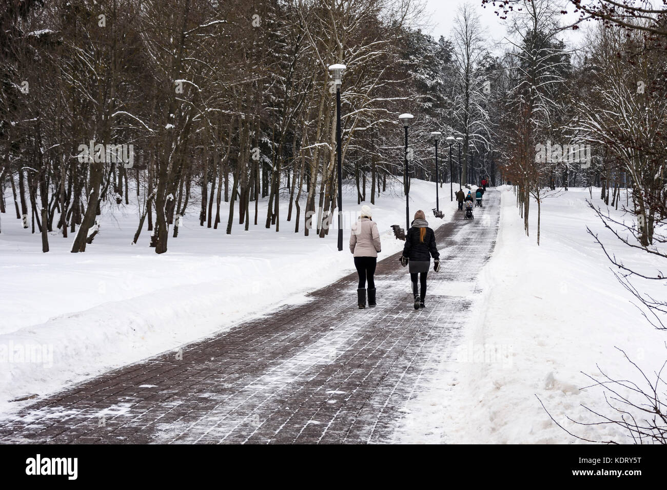 Man woman walks winter park hi-res stock photography and images - Alamy