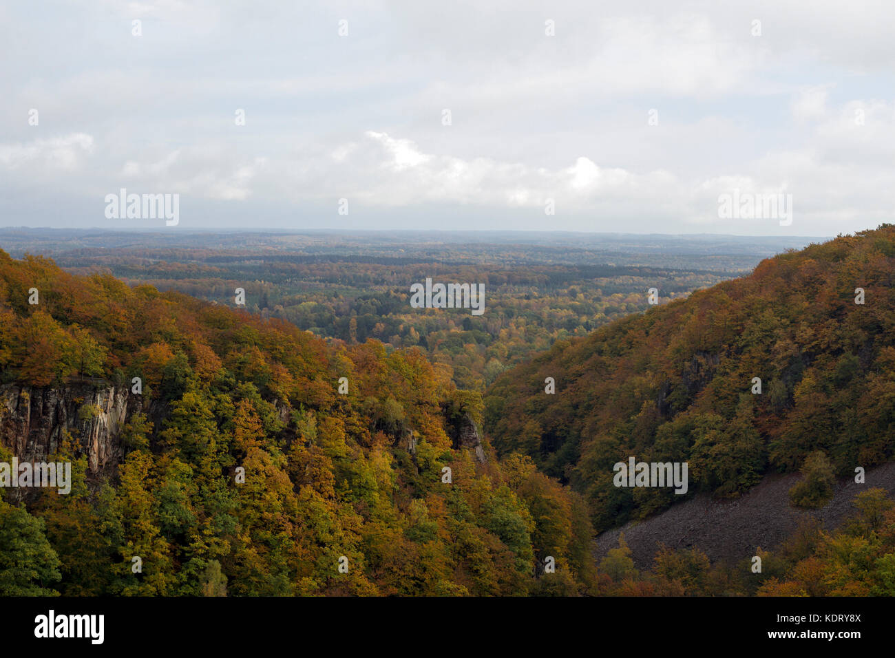 Söderåsen national park Stock Photo - Alamy