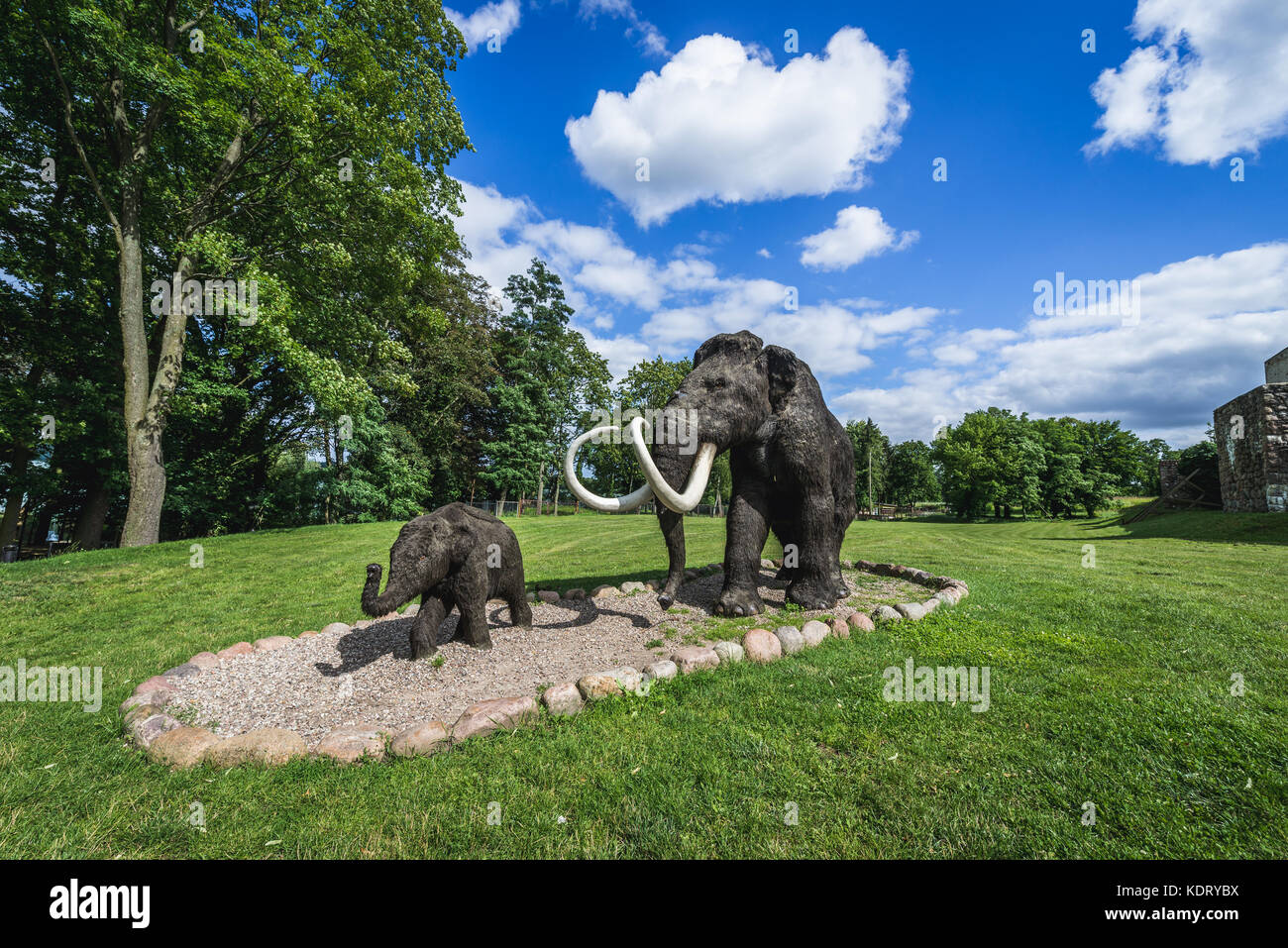 Model of extinct specie Mammuthus primigenius - Woolly mammoth in geopark called 'Avenue of Pleistocene Stars' in Moryn town in Gryfino County, West P Stock Photo