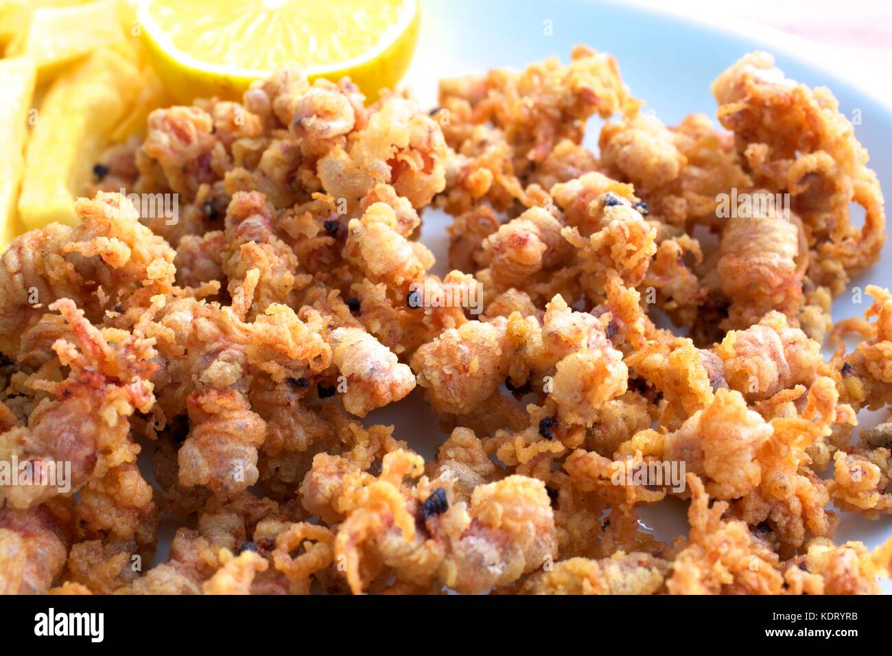 Deep Fried Baby Squid Tapas, Las Palmas de Gran Canaria, Gran Canaria,  Canary Islands, Spain, Atlantic Ocean, Europe Stock Photo - Alamy
