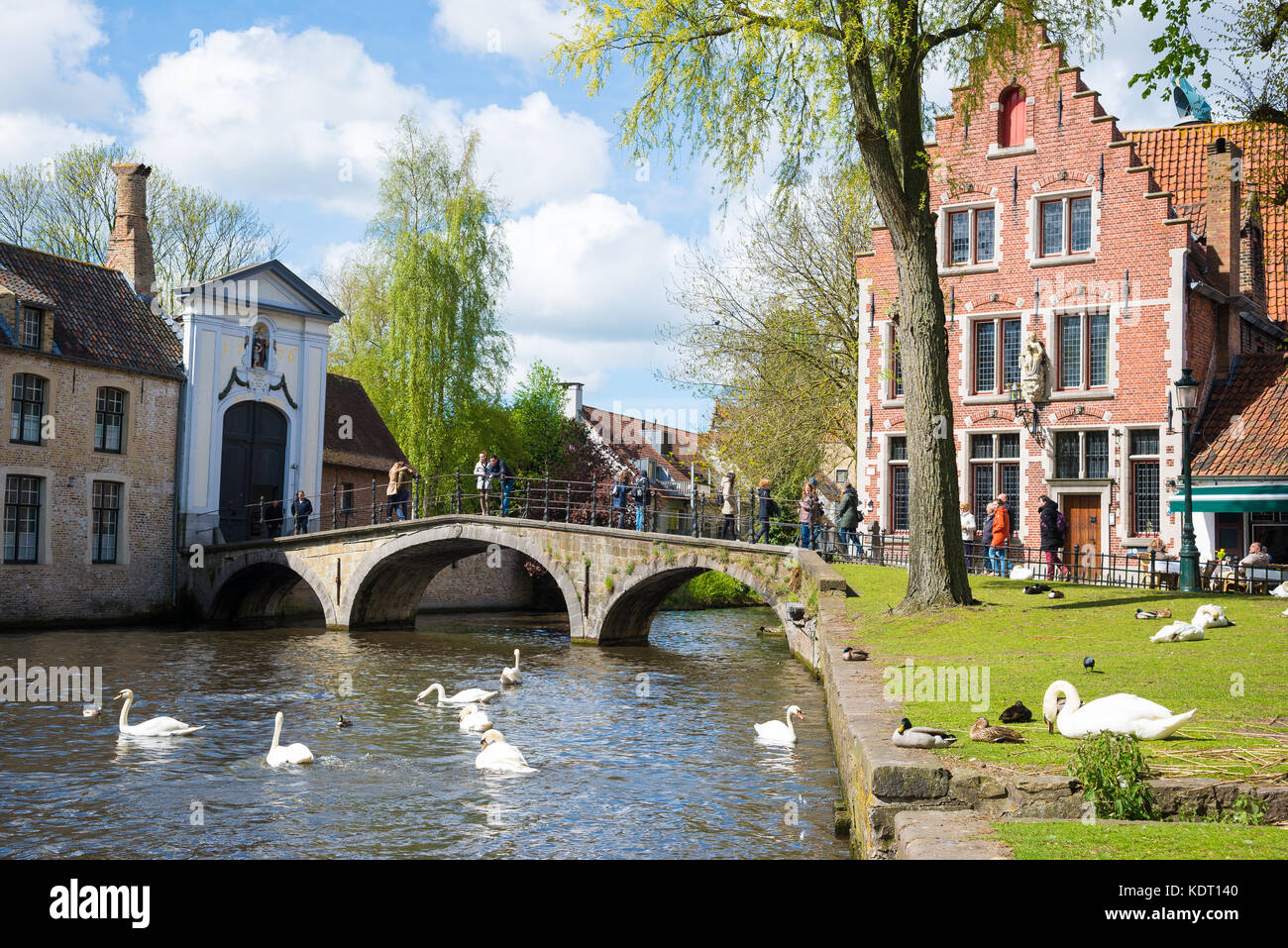 Bruges, Belgium April 17, 2017 Swans in lake of love in Bruges