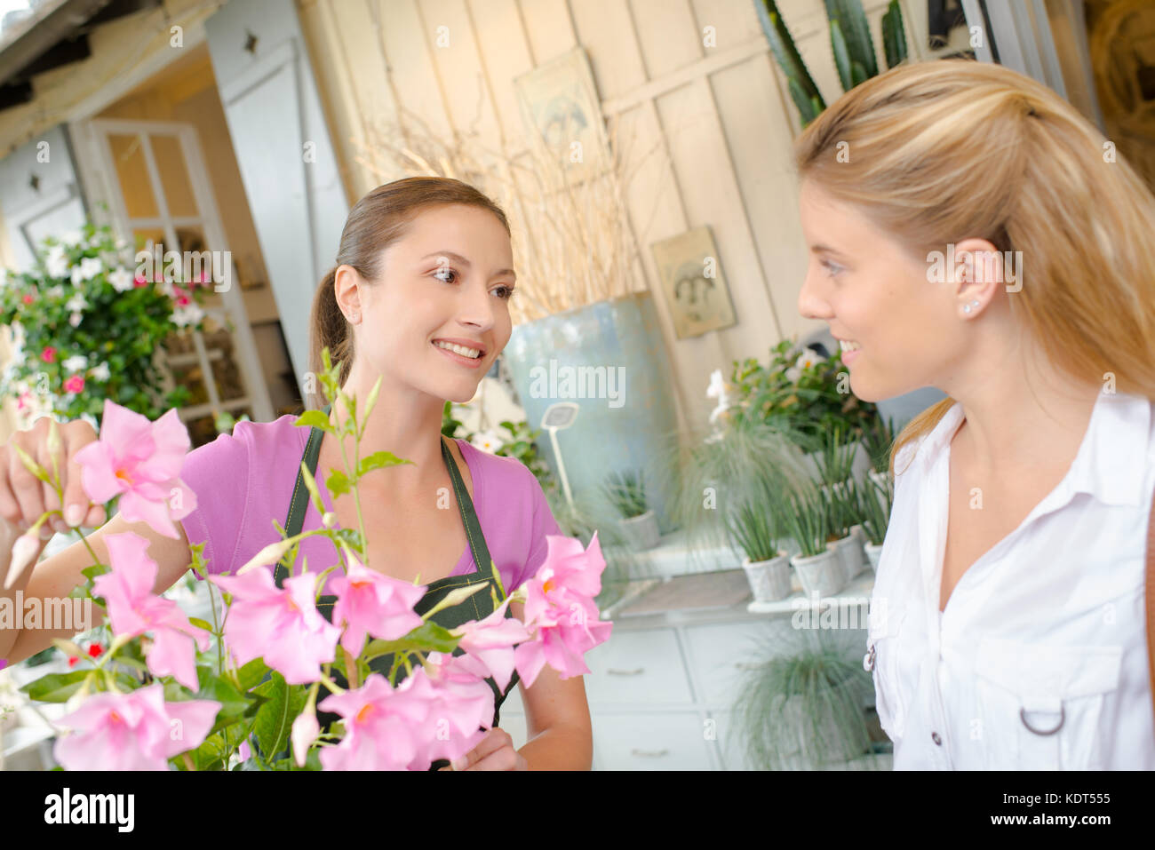 Florist and a customer Stock Photo Alamy