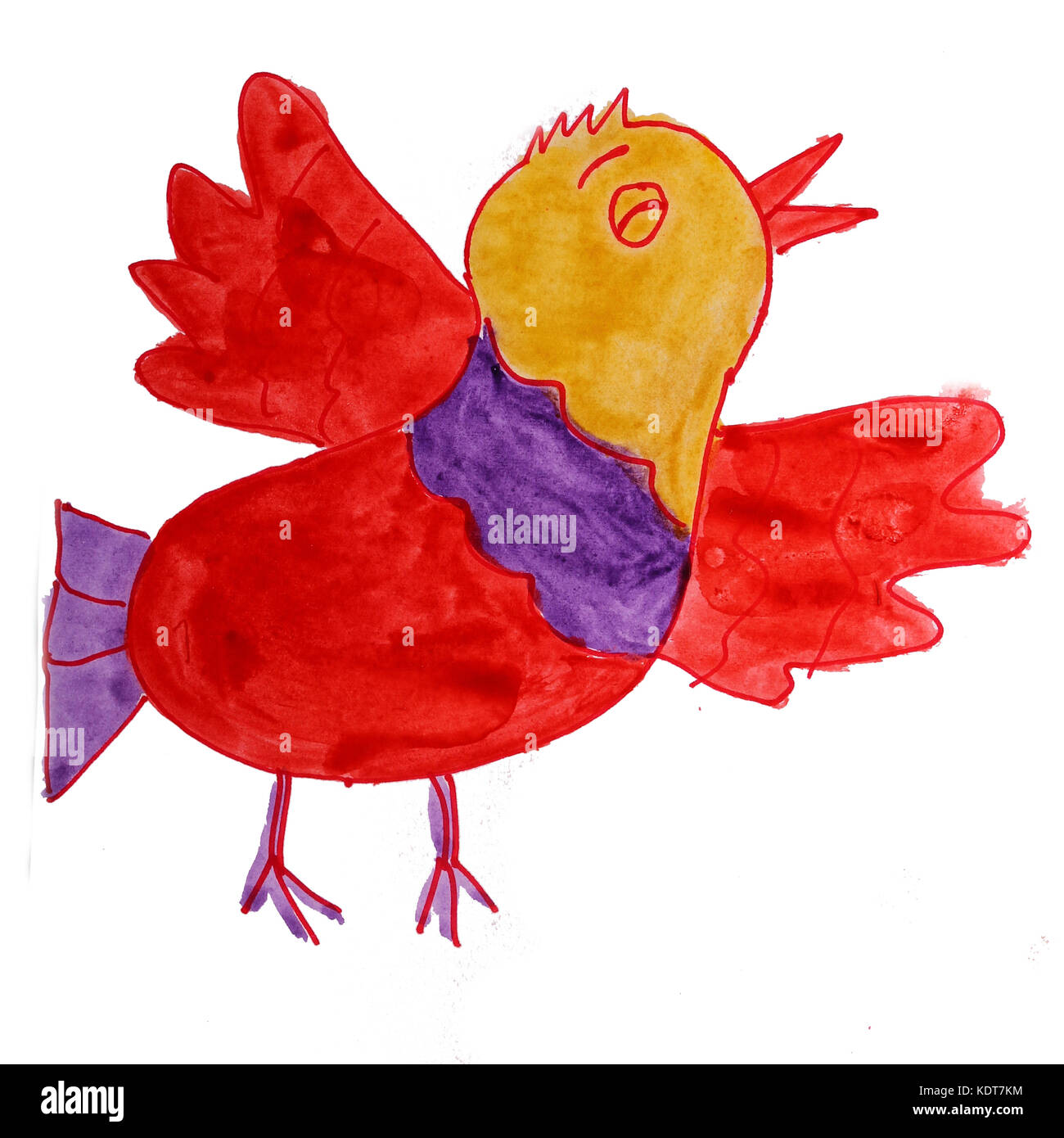 chicken watercolor drawing isolated on white background Stock Photo