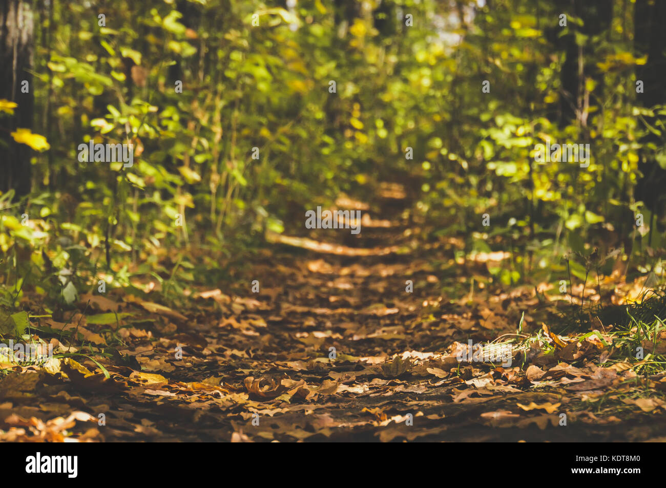 Beautiful morning hi-res stock photography and images - Alamy