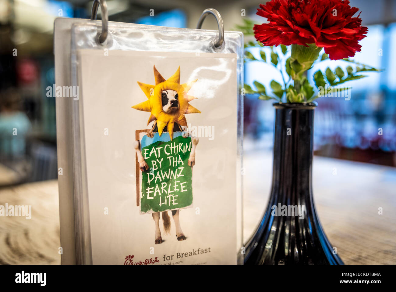Chick-fil-A table display with fresh flower and flip cards featuring the restaurant chain's popular cow campaign marketing. (USA) Stock Photo