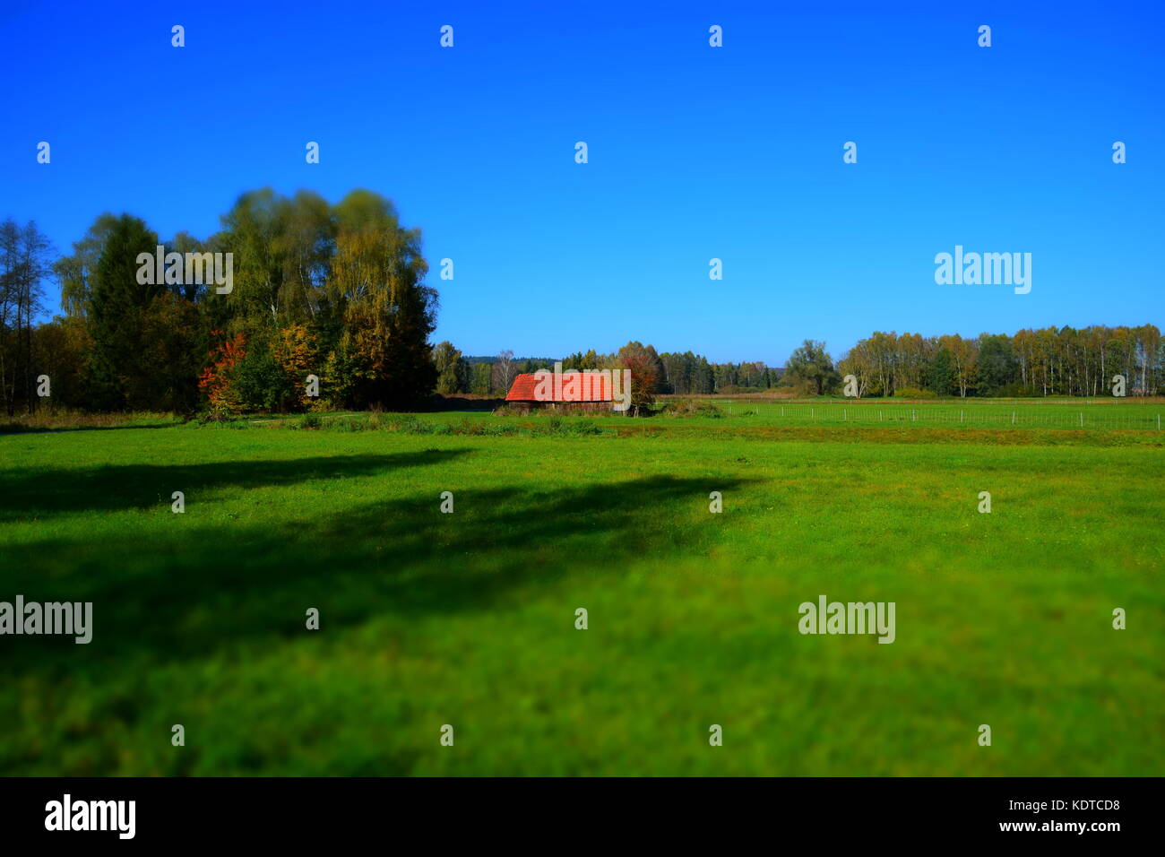 rural idyll, old Hut, decay shack, rural Idyll in bavaria, colorful autumnal Panorama, moorlands Stock Photo