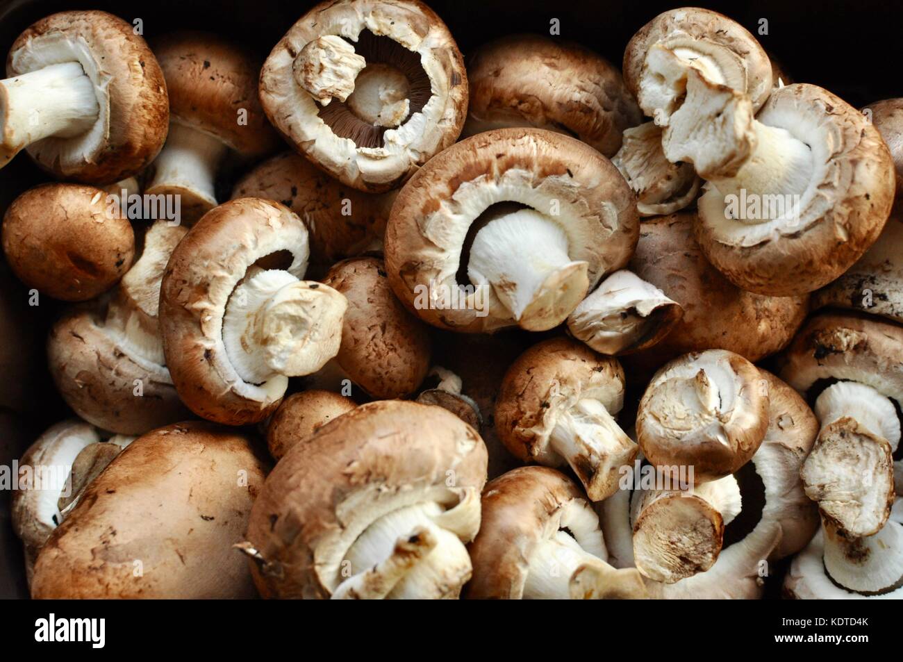 Punnet of dirty chestnut mushrooms Stock Photo