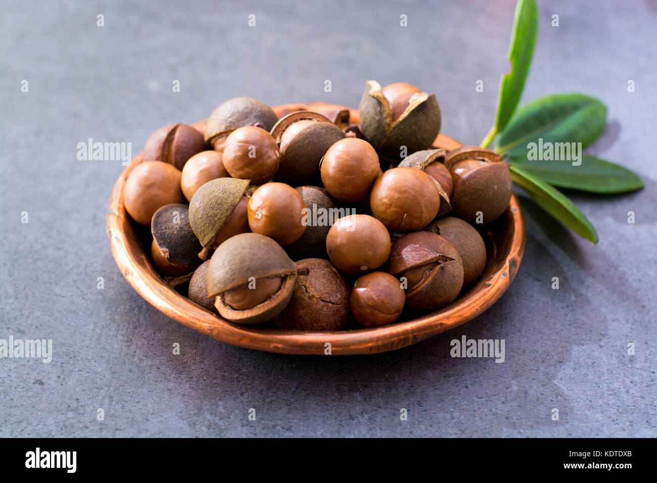 Australian macadamia nuts, unpeeld fresh harvest close up Stock Photo