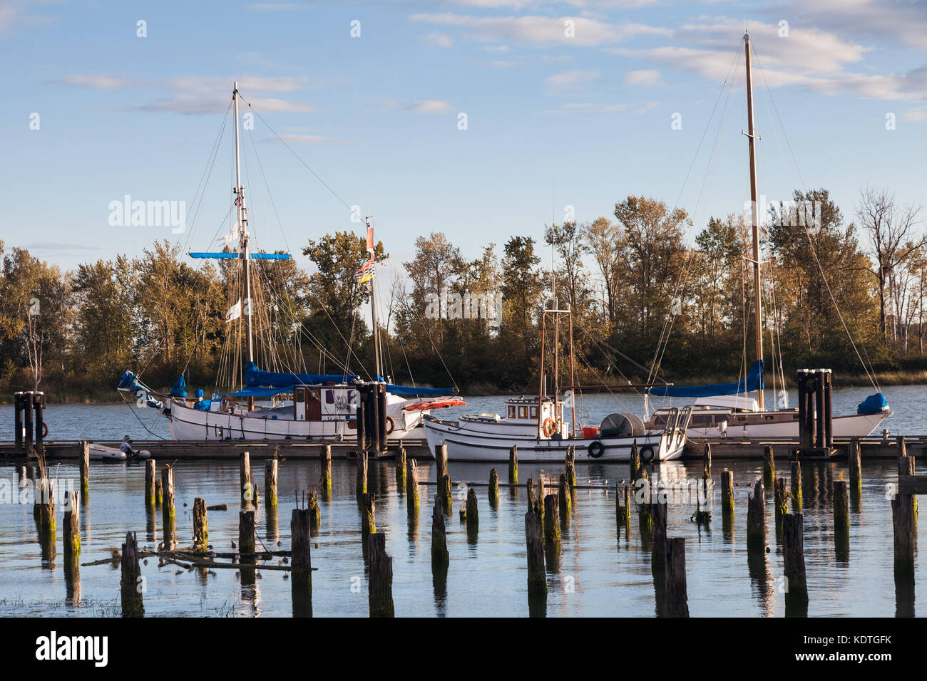 Three vessels docked by the Britannia Boat Yard in Steveston, near