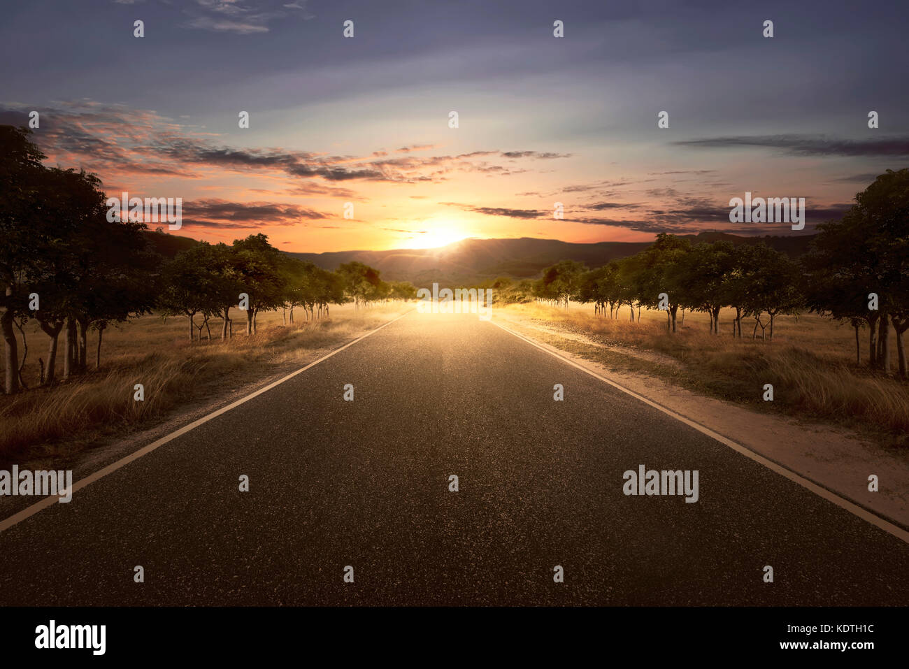 Asphalt road among meadow field with trees on sunset time Stock Photo ...