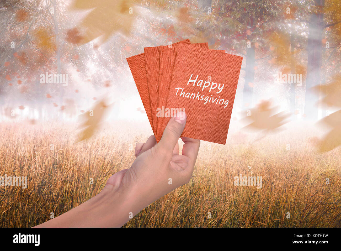 Holiday message for thanksgiving
