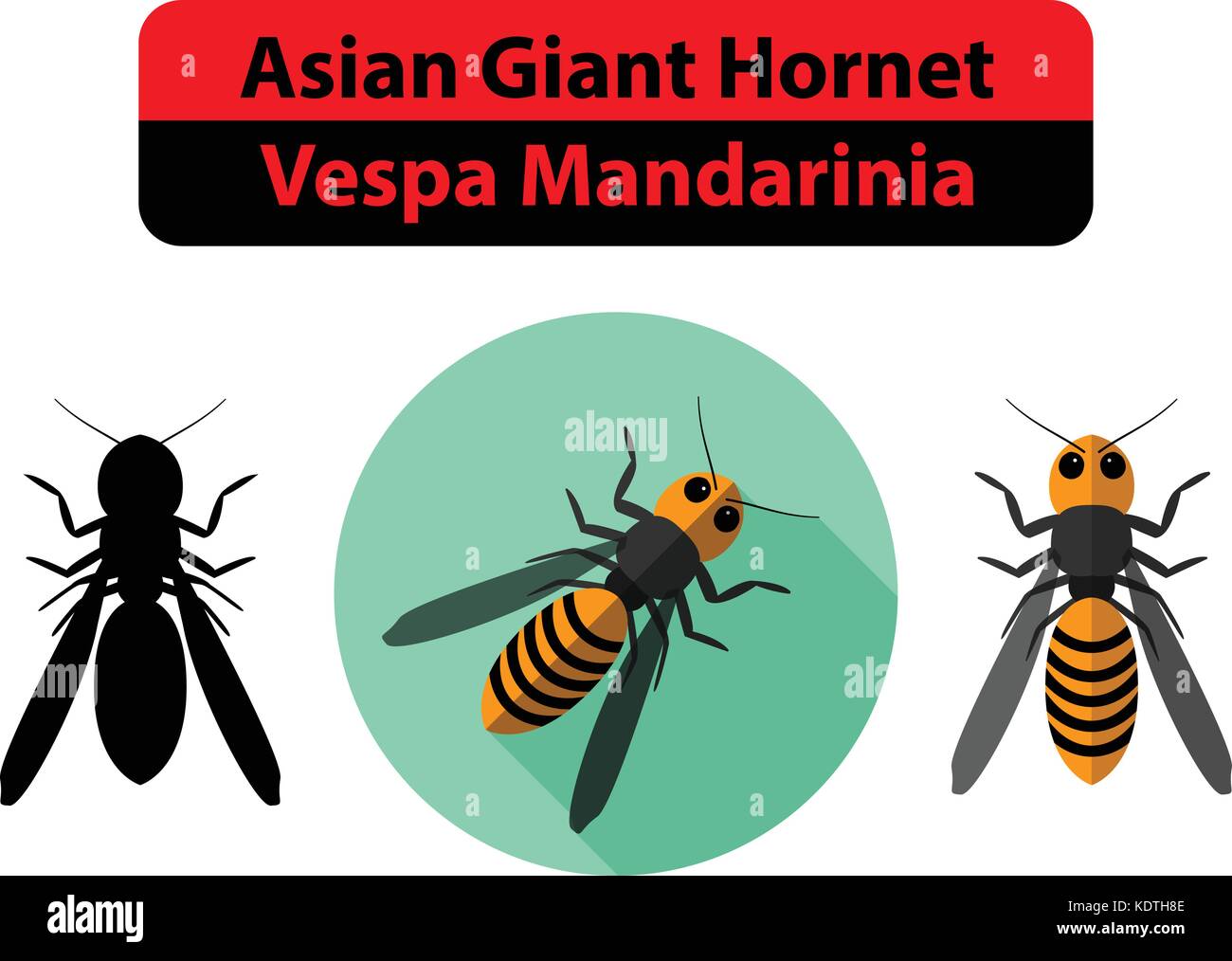 Asian Giant Hornet or Vespa Mandarinia on white, vector Stock Vector