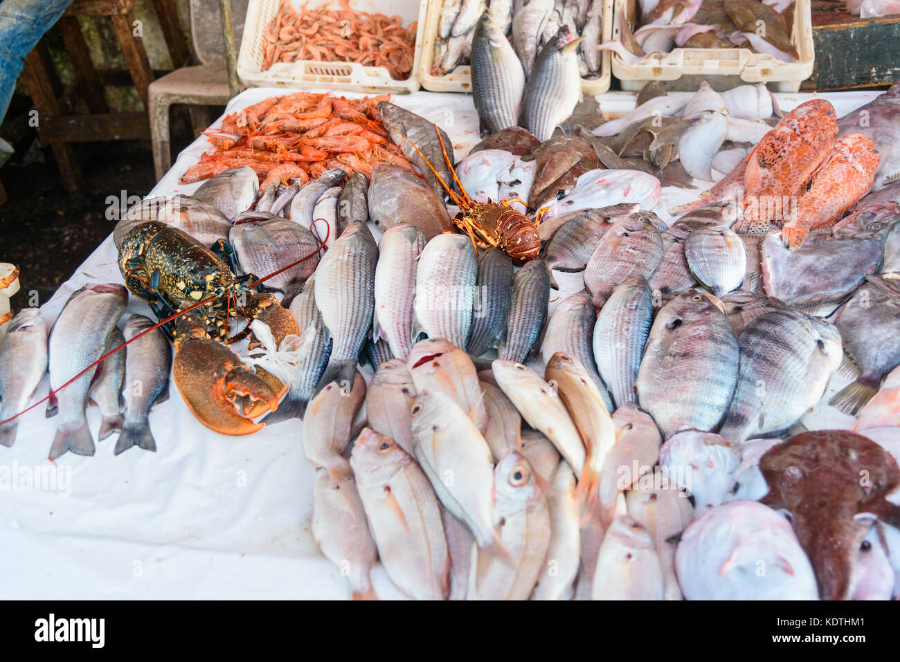 Fresh fish and seafood on the market in port. Essaouira, Morocco Stock