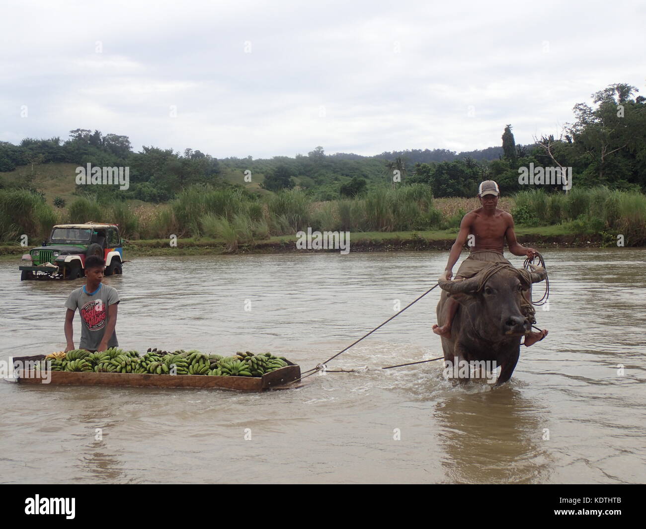 Philippines. 14th Oct, 2017. Severe tropical depression Odette made Sinundungan River in Cagayan Valley overflow. The strong water current made it not passable for people crossing the river. Farmers used their buffalo to cross the river and transport their harvest of vegetables and fruits to the market. Credit: Sherbien Dacalanio/Pacific Press/Alamy Live News Stock Photo