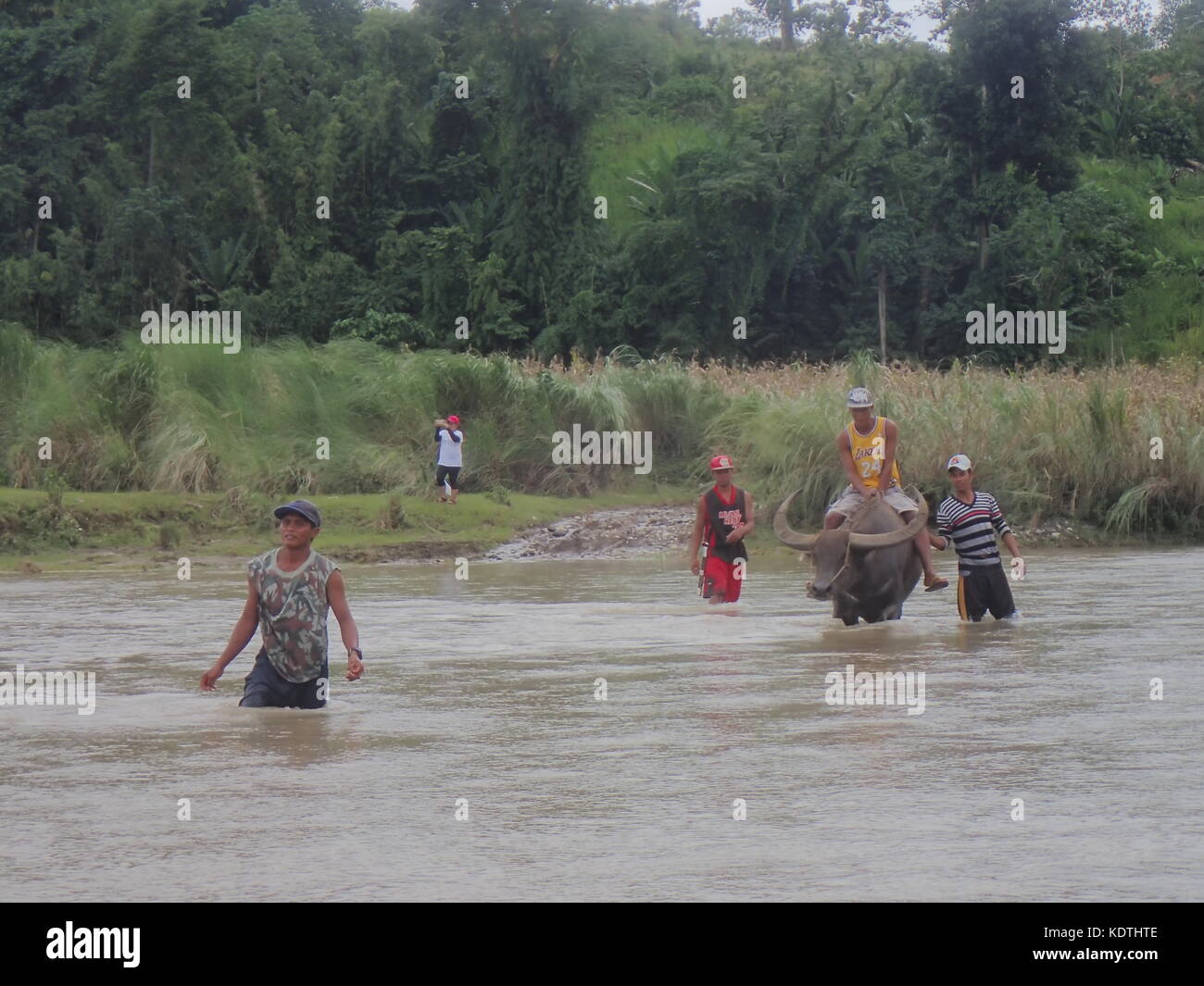 Philippines. 14th Oct, 2017. Severe tropical depression Odette made Sinundungan River in Cagayan Valley overflow. The strong water current made it not passable for people crossing the river. Farmers used their buffalo to cross the river and transport their harvest of vegetables and fruits to the market. Credit: Sherbien Dacalanio/Pacific Press/Alamy Live News Stock Photo