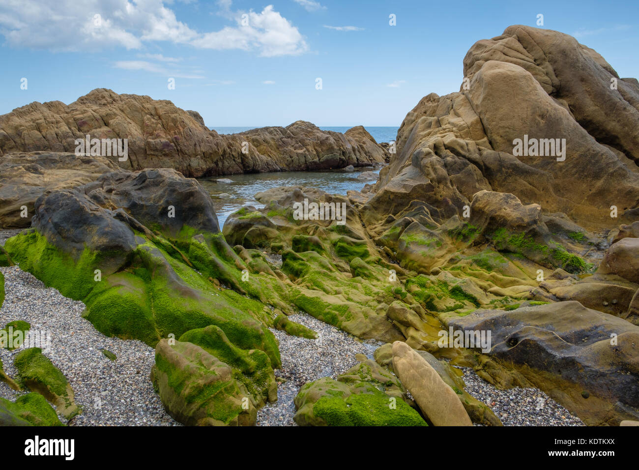 Rock pool covered in green seaweed. Stock Photo