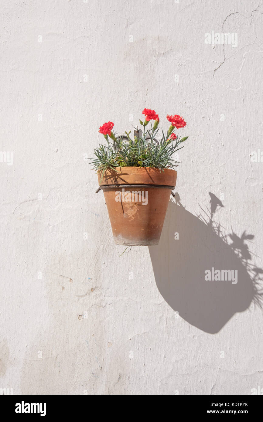 Traditional Spanish wall mounted flower pot Stock Photo Alamy